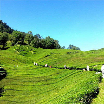 开云体育- 开云体育官方网站- 开云体育APP下载 KAIYUN SPORTS纸上黄金要IPO了